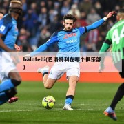 balotelli(巴洛特利在哪个俱乐部)
