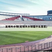 足球大小球(足球大小球是什么意思)