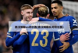 西汉姆联vs切尔西(西汉姆联队对切尔西)