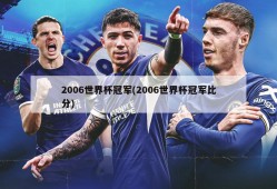 2006世界杯冠军(2006世界杯冠军比分)