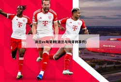 波兰vs匈牙利(波兰与匈牙利事件)