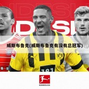 威斯布鲁克(威斯布鲁克有没有总冠军)