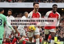 卡塔尔世界杯阿根廷夺冠(卡塔尔世界杯阿根廷夺冠10月10日什么时候)